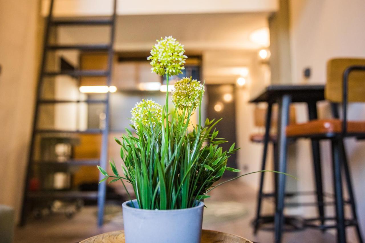 Urbanjungle - Your Trendy Loft In Central بودابست المظهر الخارجي الصورة
